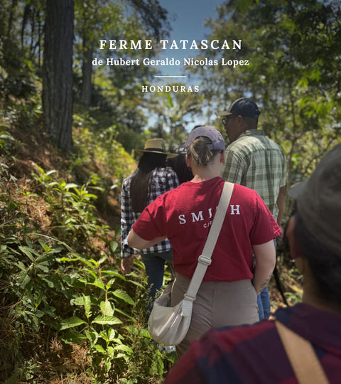 Voyage à la source - Honduras, ferme Tatascan de Hubert Geraldo Nicolas Lopez