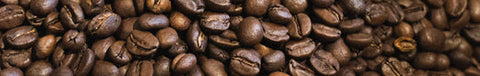 Grains de café Smith - Présentation Sarah-Eve 