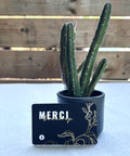 Carte-cadeau Smith Café - Modèle Merci
