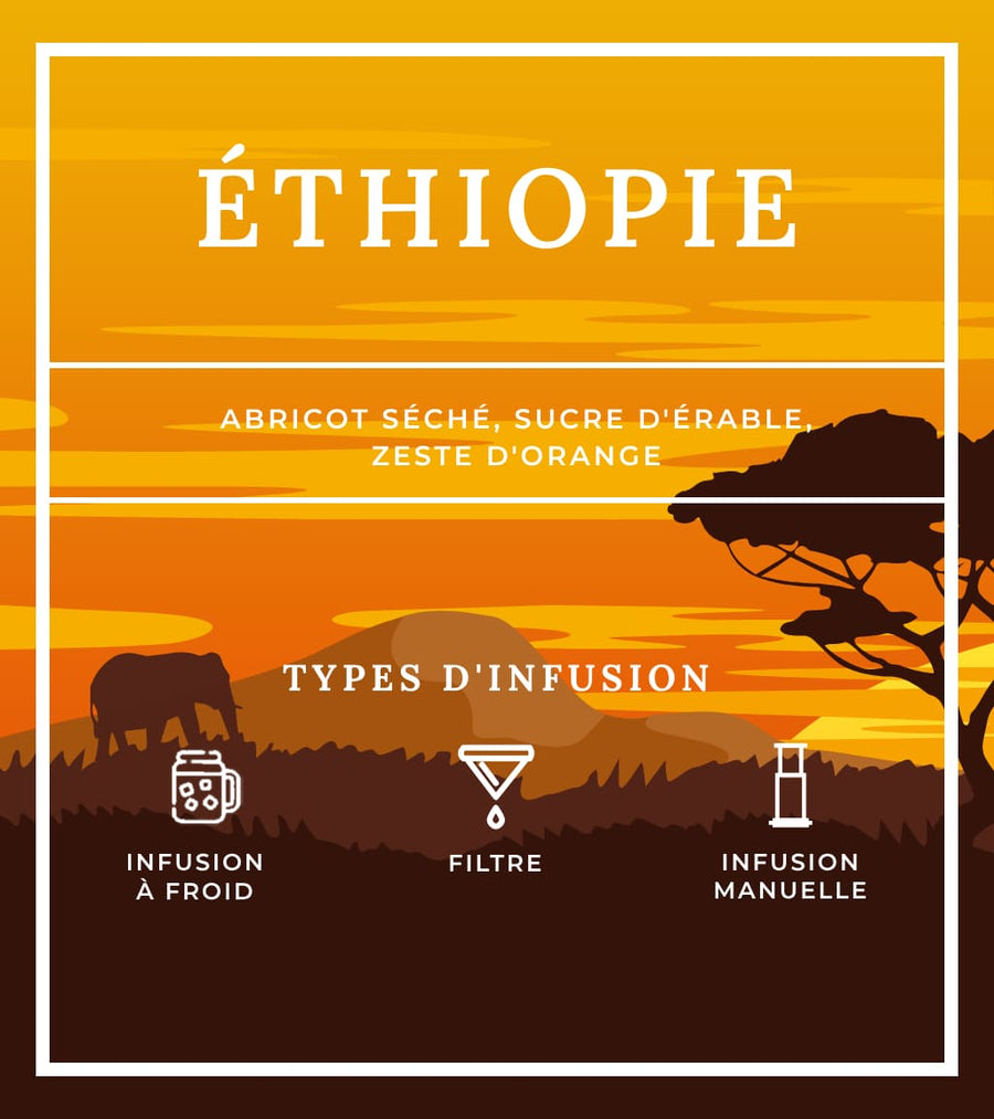 Types d'infusion - Ethiopie
