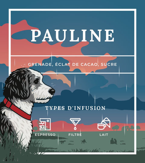 Types d'infusion - Pauline