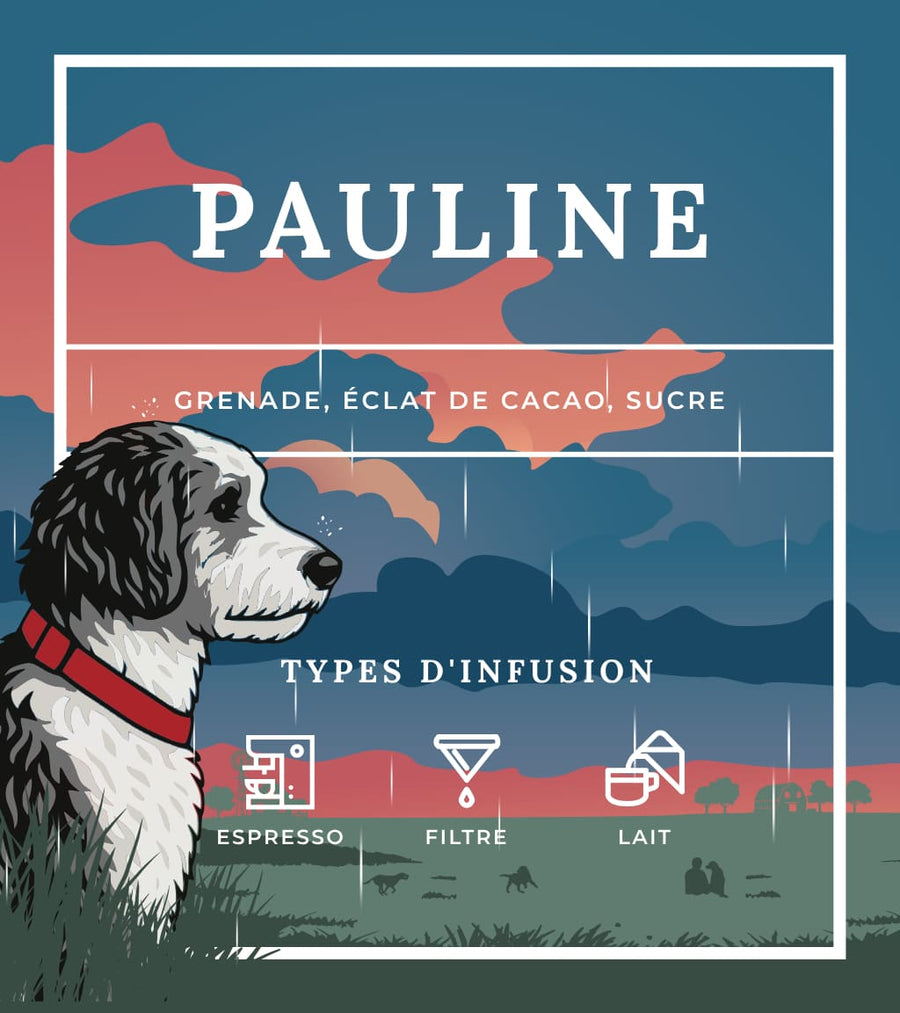 Types d'infusion - Pauline
