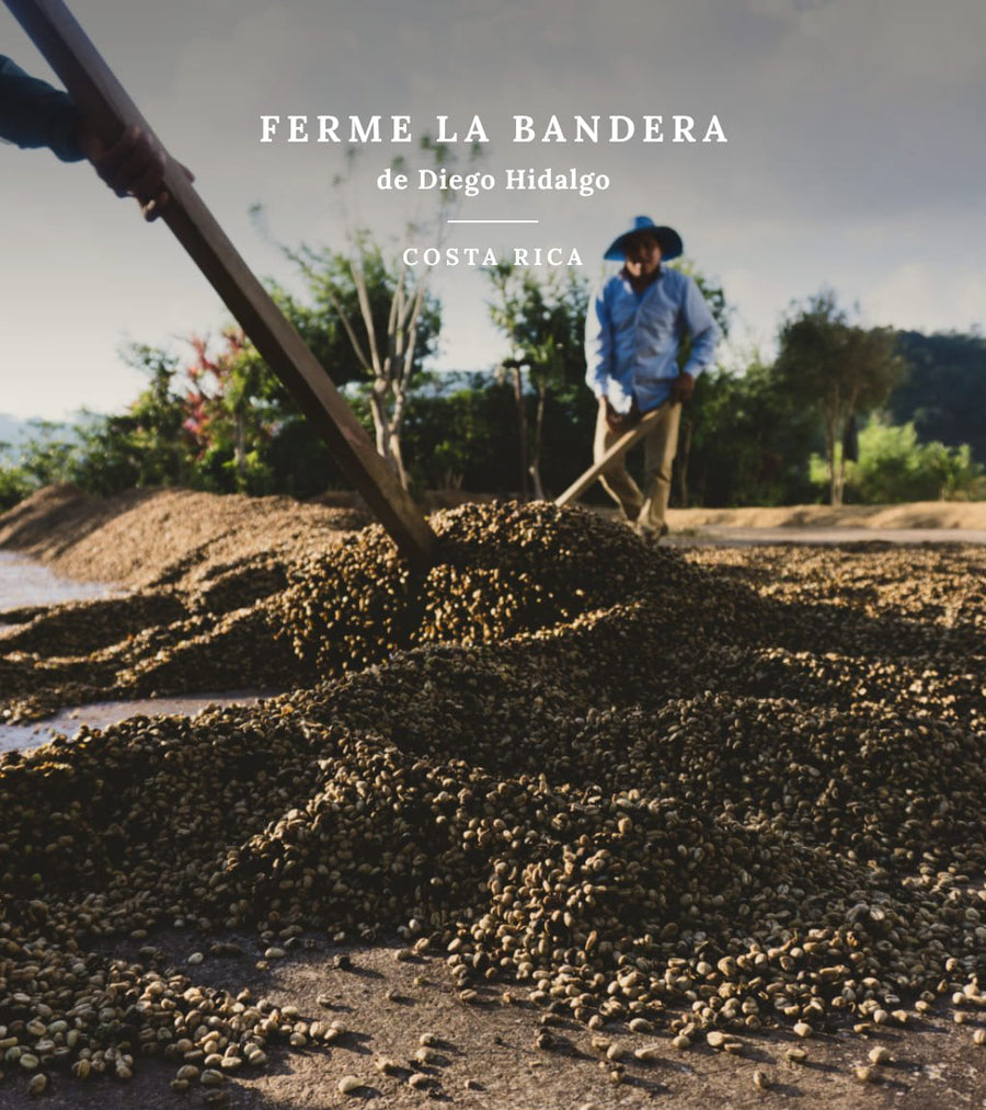 Voyage à la source - Costa Rica, ferme La Bandera de Diego Hidalgo