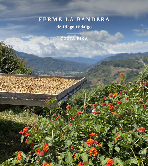 Voyage à la source - Costa Rica, ferme La Bandera de Diego Hidalgo