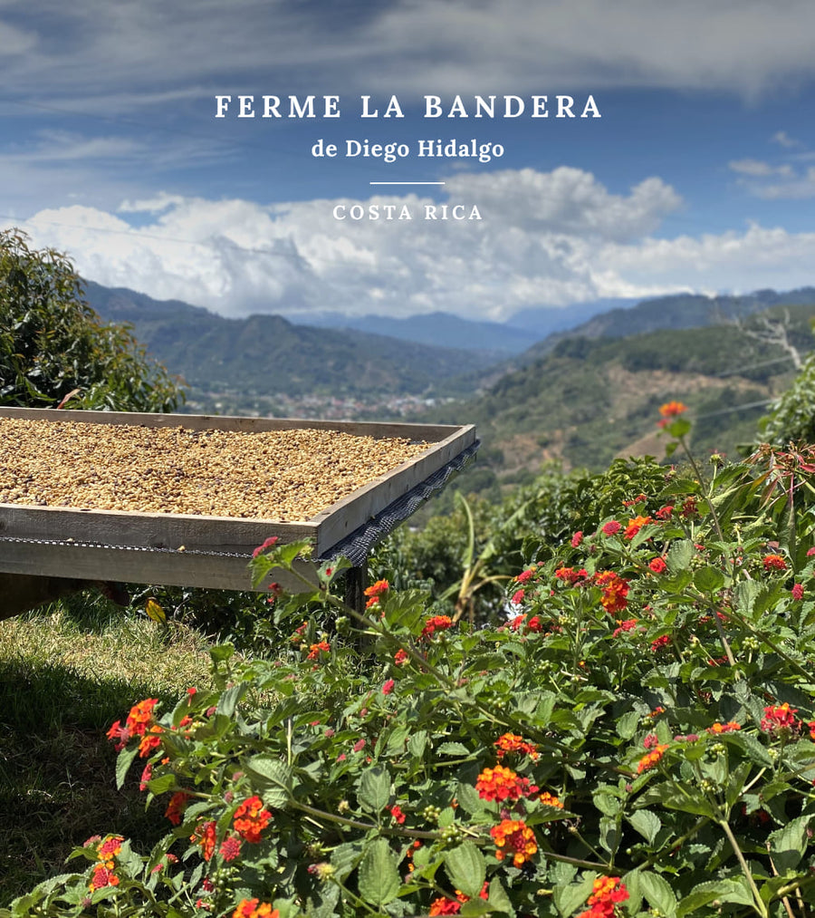 Voyage à la source - Costa Rica, ferme La Bandera de Diego Hidalgo