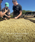 Ferme Nicaragua - Smith