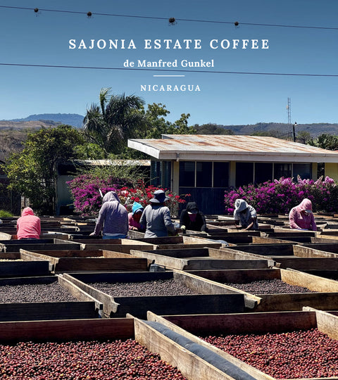 Ferme Nicaragua - Smith