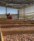 Ferme Nicaragua - Smith
