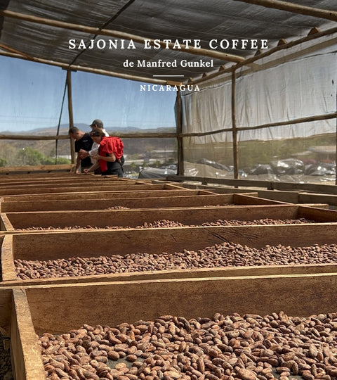 Ferme Nicaragua - Smith