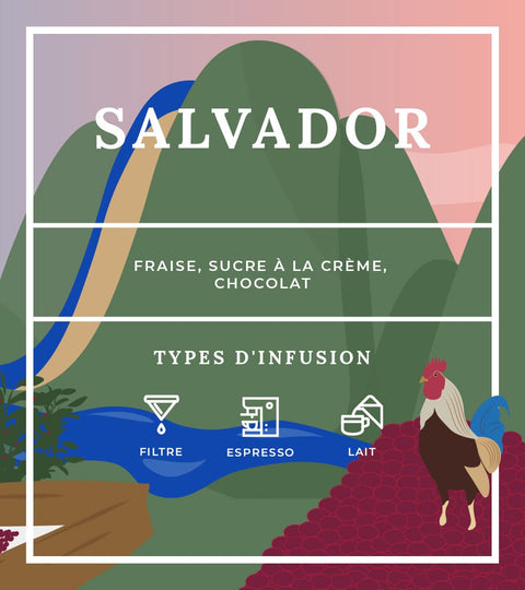 Informations café Salvador - Smith