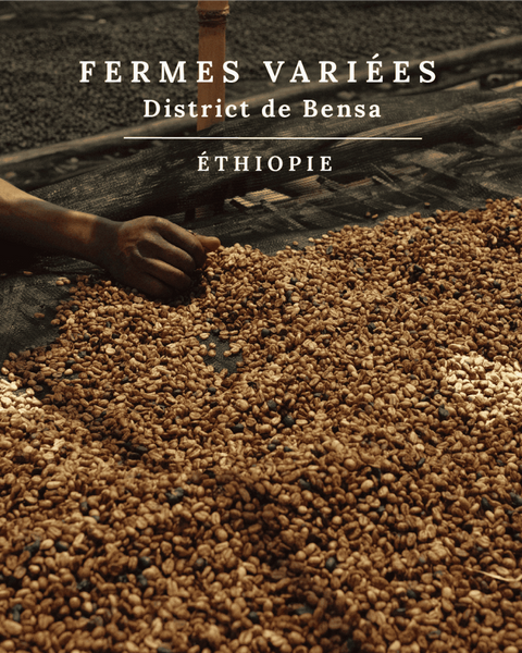 Ethiopie Sidama Sélection terroir Smith Café