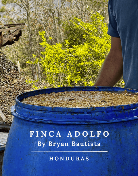 Honduras co-fermenté