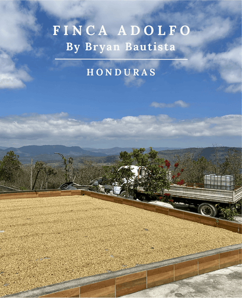 Honduras co-fermenté