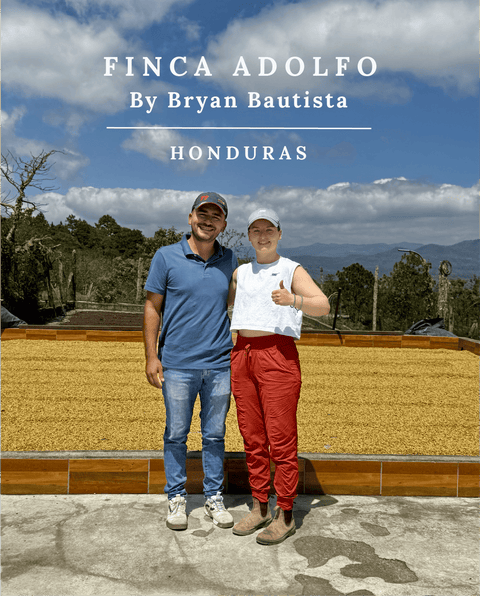 Honduras co-fermenté